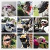 Pet Goggles Dog UV Protection Glasses Waterproof Windproof Anti-Fog Eye Glasses